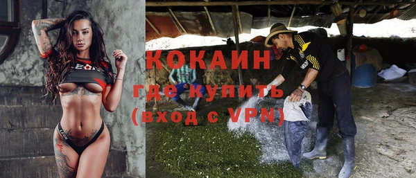 соль ск Алексин
