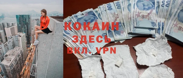 соль ск Алексин