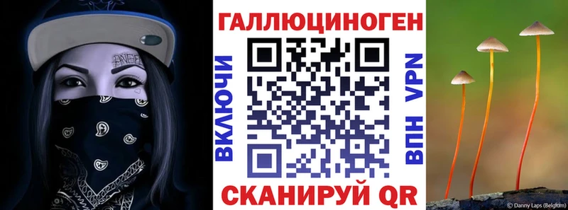 Псилоцибиновые грибы мухоморы как найти Краснознаменск